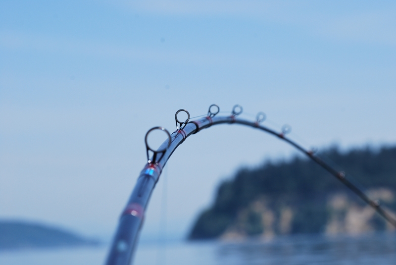 fishing, puget sound