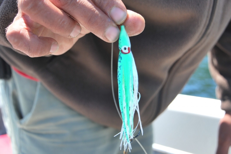 fishing, lure