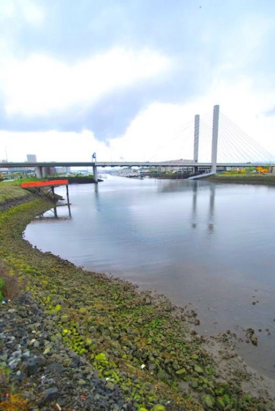 thea foss, tacoma, 509 bridge