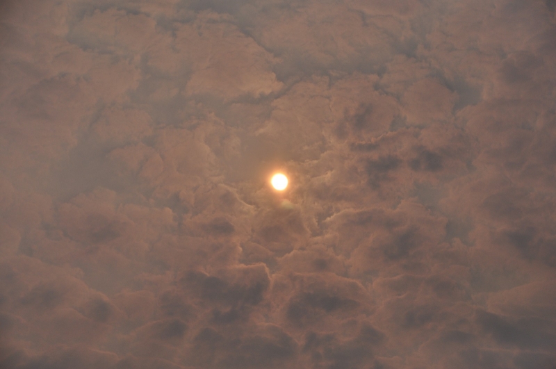 wildfire, smoke, tacoma, sky