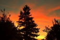 tacoma, sunset