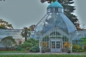 conservatory, wright park, tacoma
