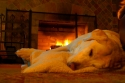 tyler, fire, nap